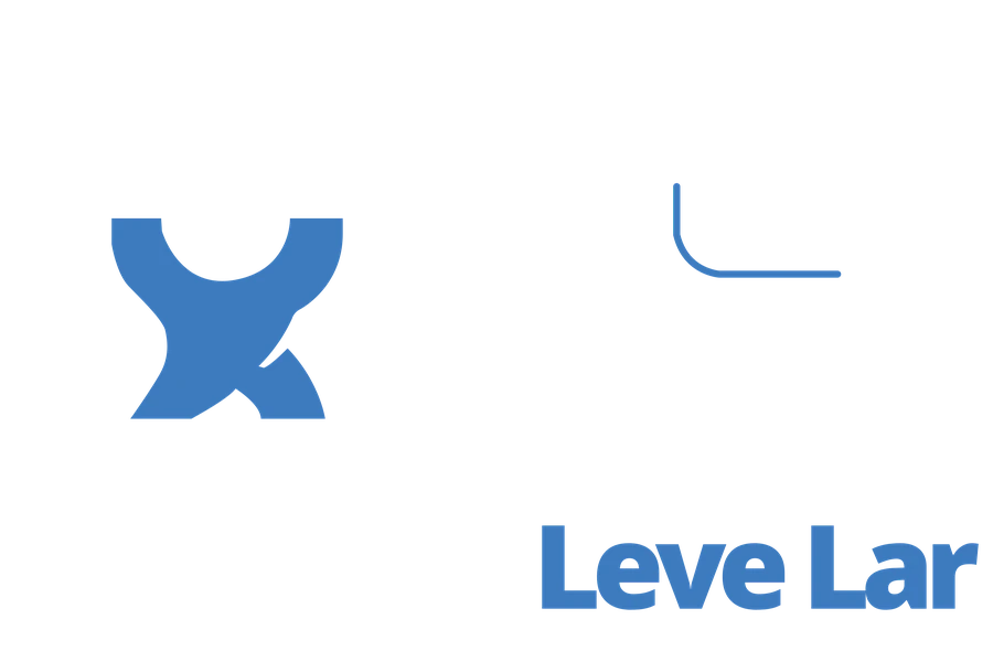 Mudanças Leve Lar